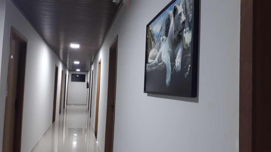 Hotel Rof Telêmaco Borba Exteriör bild